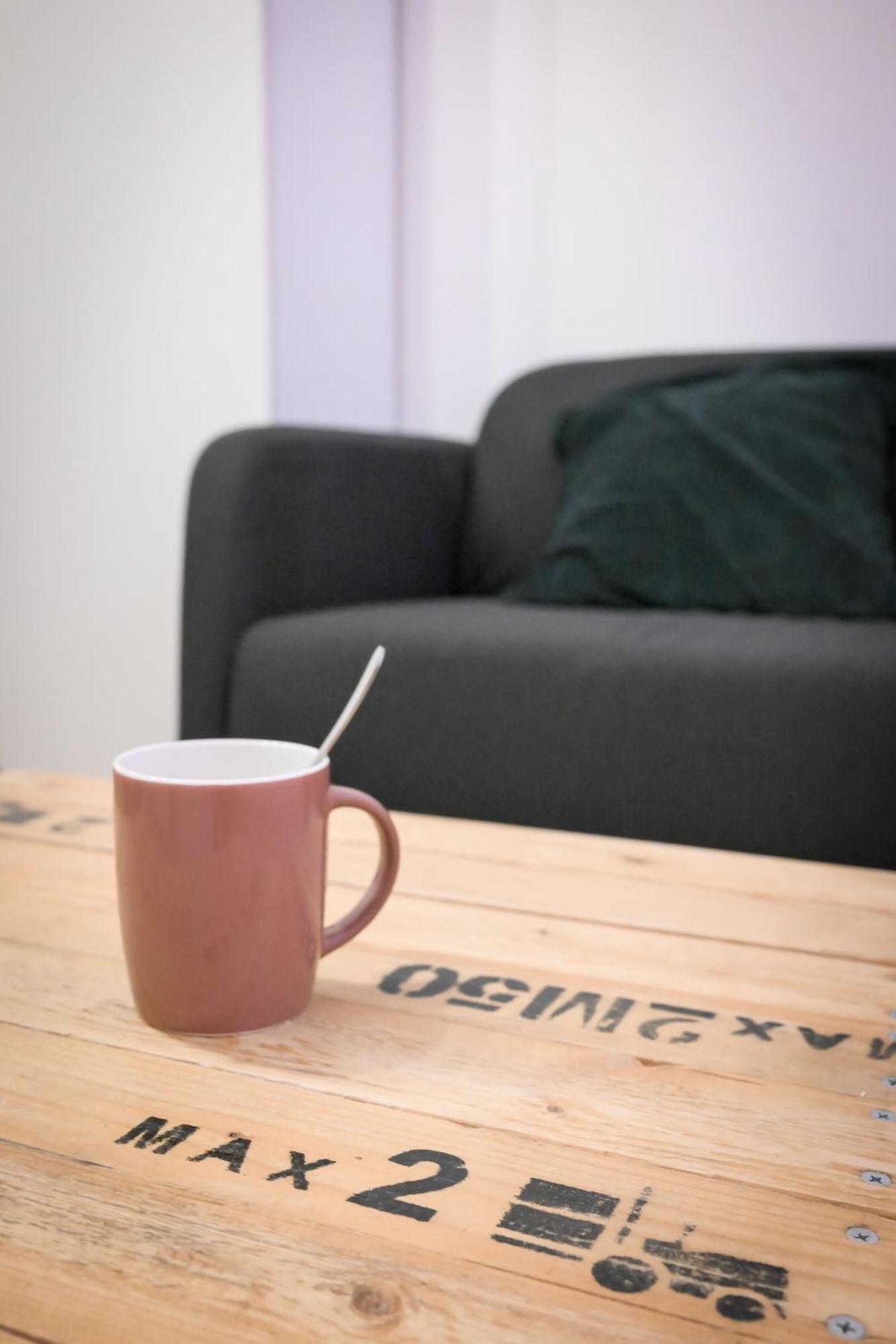 Appartement T1 Bis L'Enfilade Albi Dış mekan fotoğraf